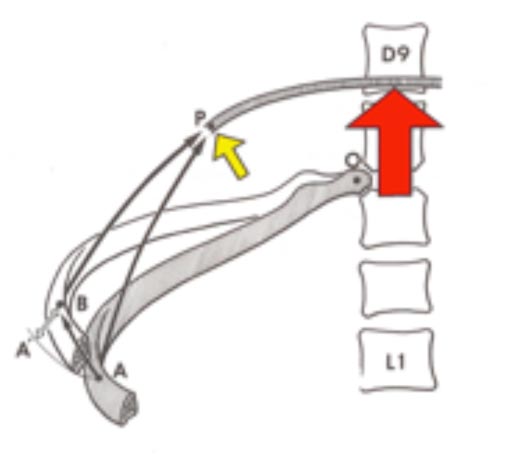 fig3