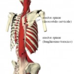 fig5-150x150