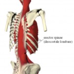 fig6-150x150