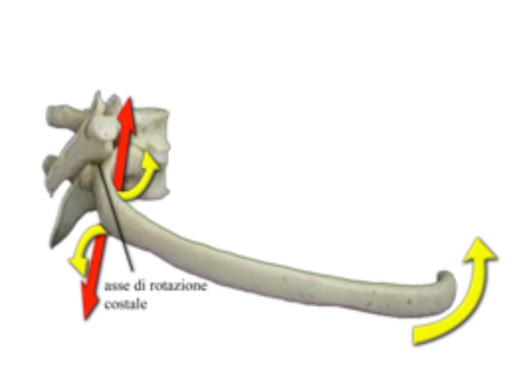 fig8